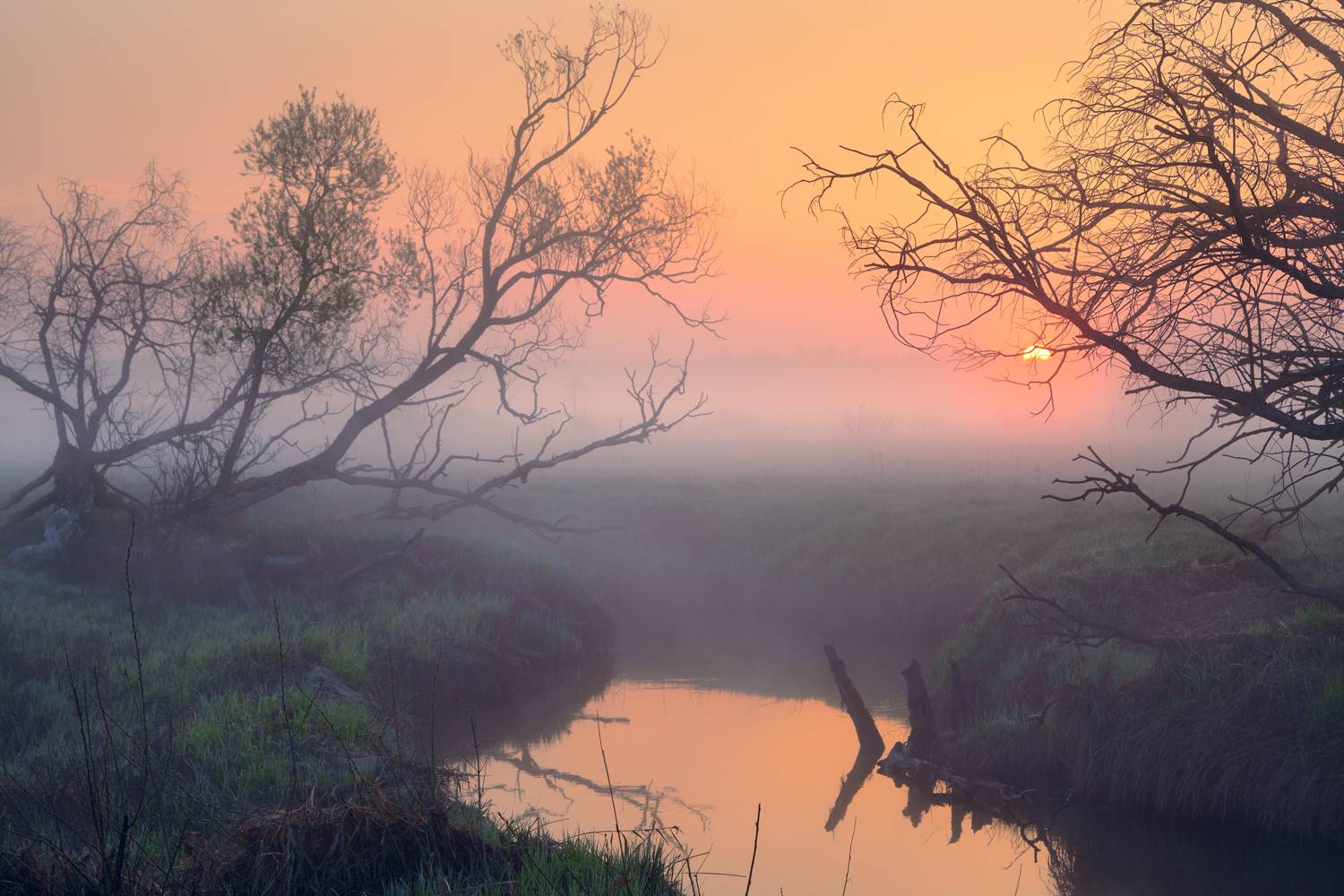 , Роман Лушпа