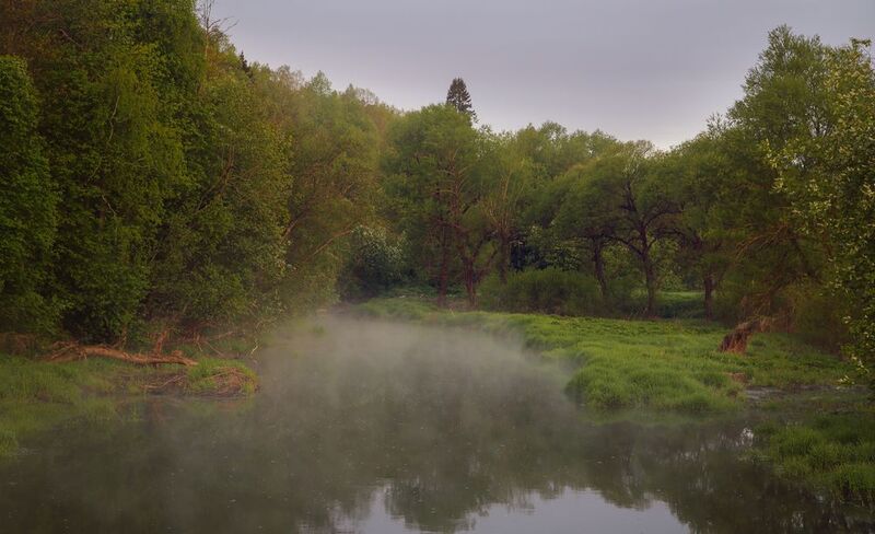 пейзаж, река, утро, туман Утро на тихой речке фото превью