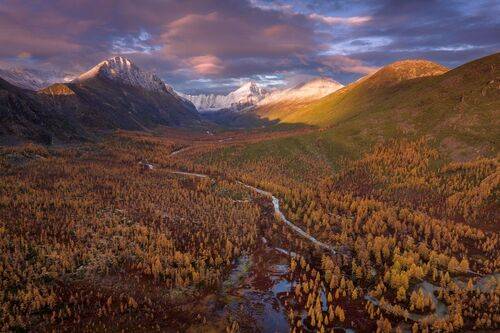 Осенние сны...