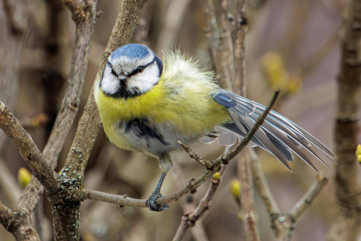 , Морозов Сергей