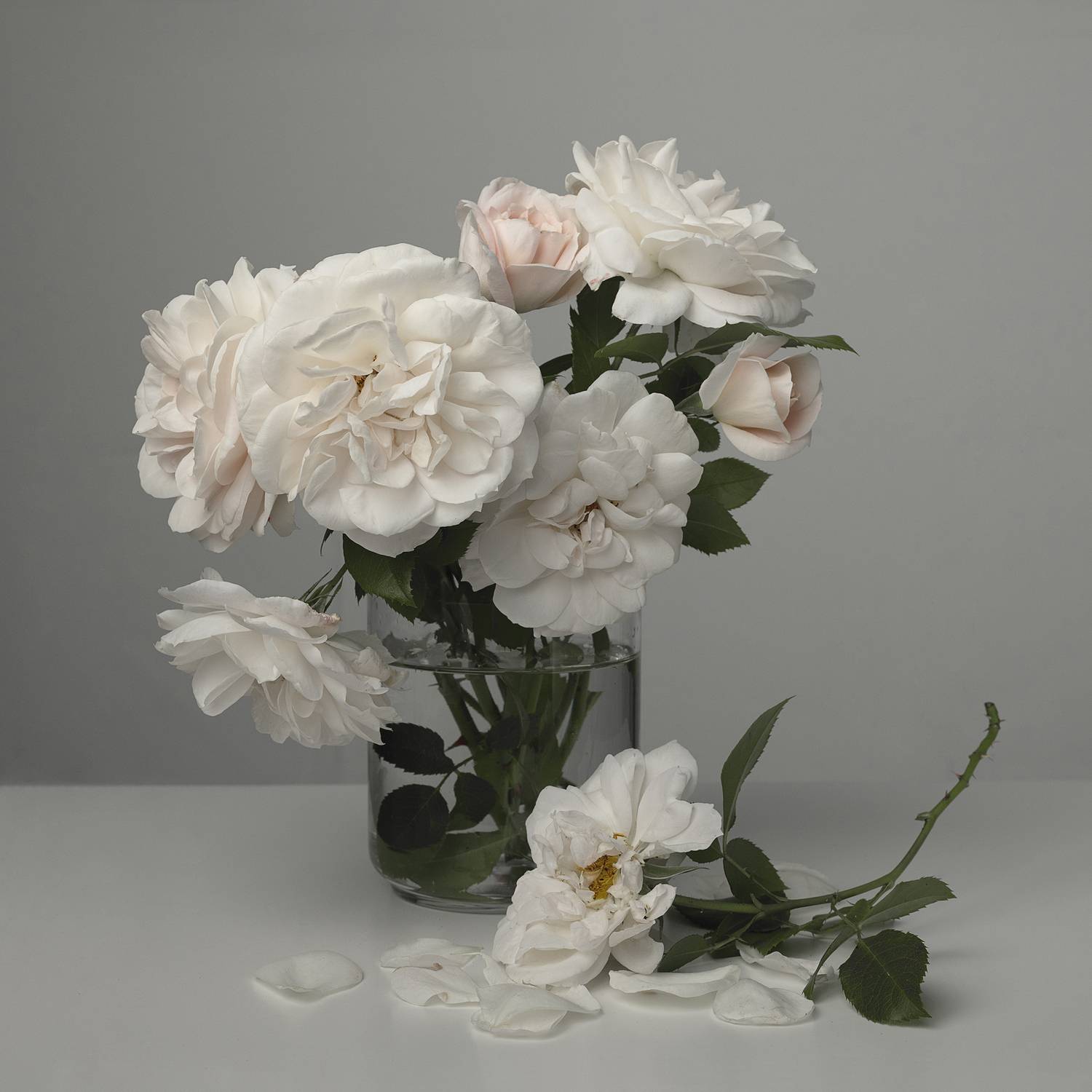 , Ольга Любимова