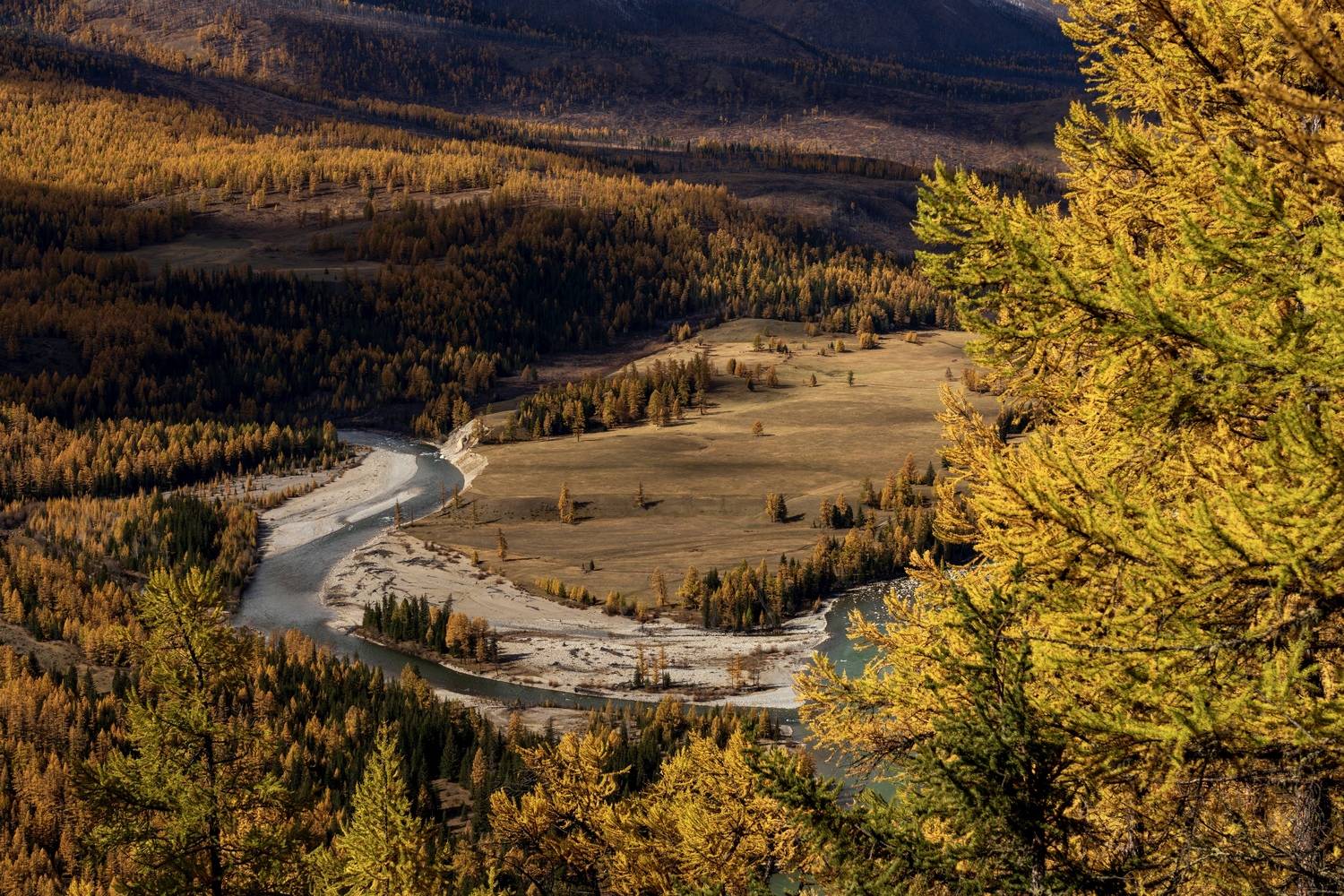 , Кузнецов Андрей