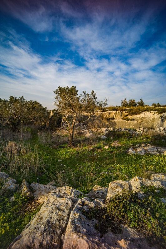 Samaria-Shomron фото превью
