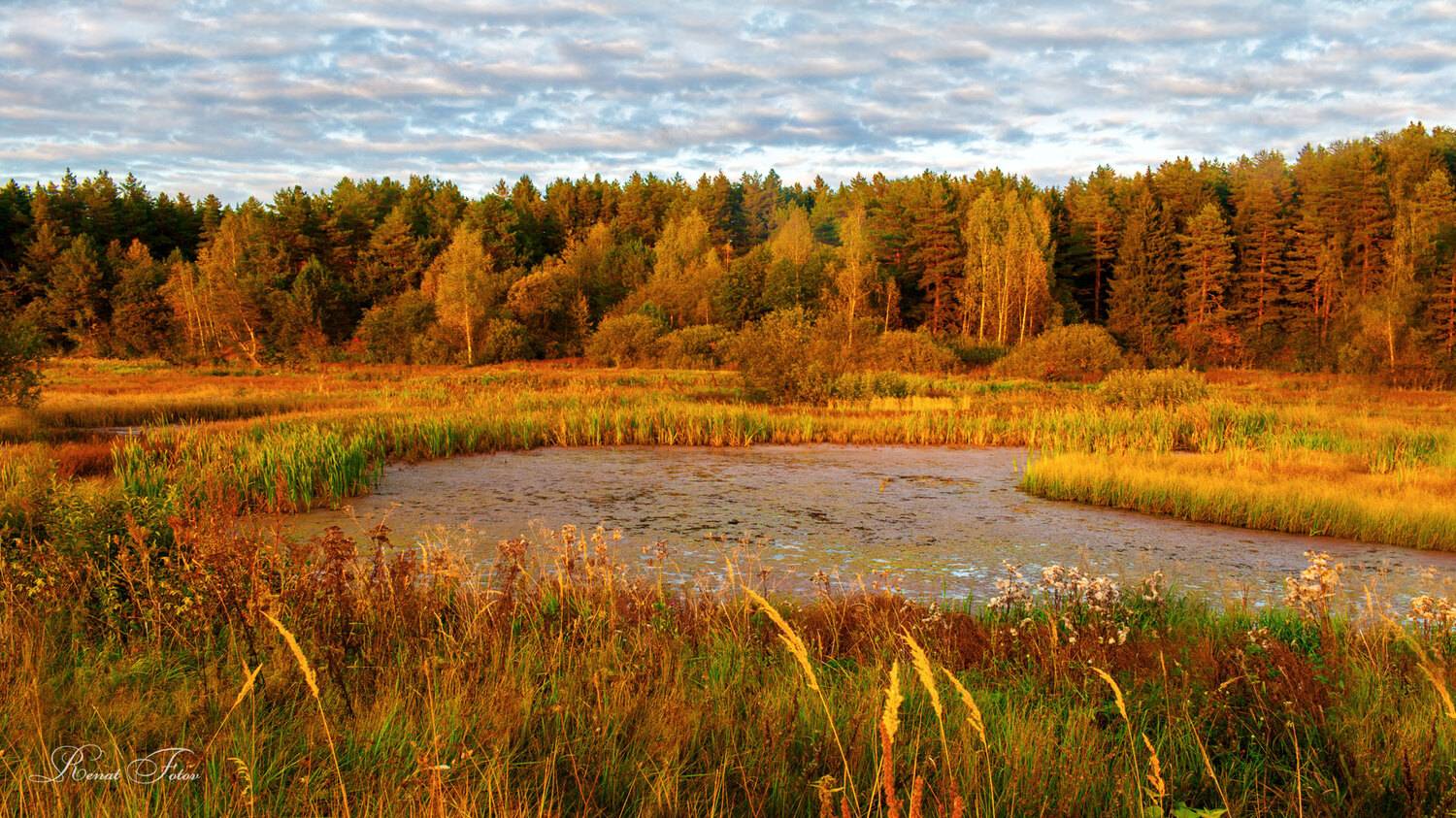 , Фотов Ренат