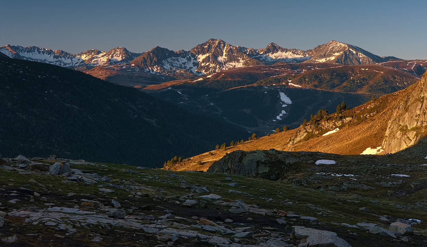 , Wojciech Tarnowski