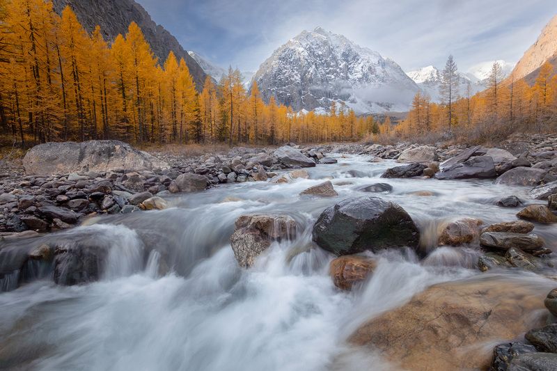 алтай, республика алтай, горы, северо-чуйский, хребет, актру Актру фото превью