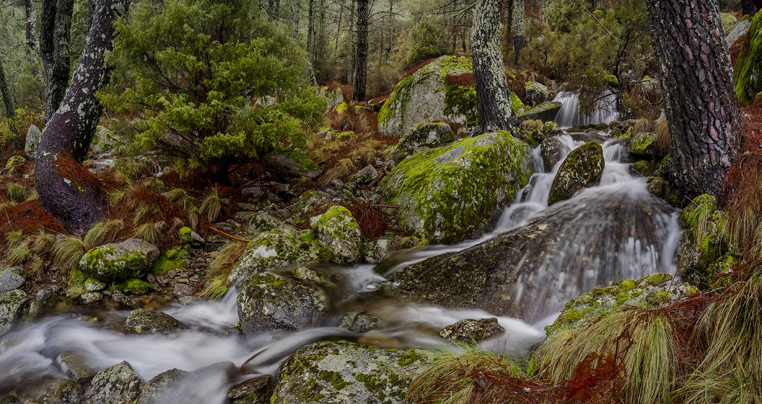 photo, photography, picture, land, landscape, nature, spring, river, color, mood , colorful, green, river, flow, flowing, forest, mountains, jimenez millan samuel