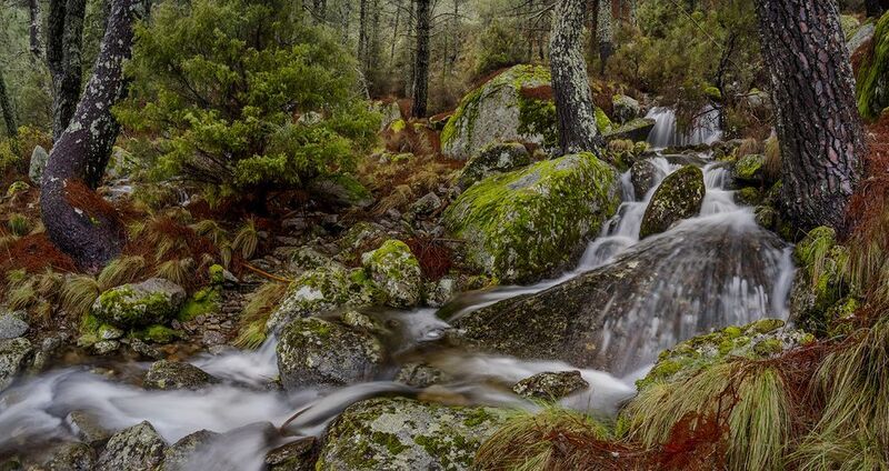 photo, photography, picture, land, landscape, nature, spring, river, color, mood , colorful, green, river, flow, flowing, forest, mountains Spring Song фото превью