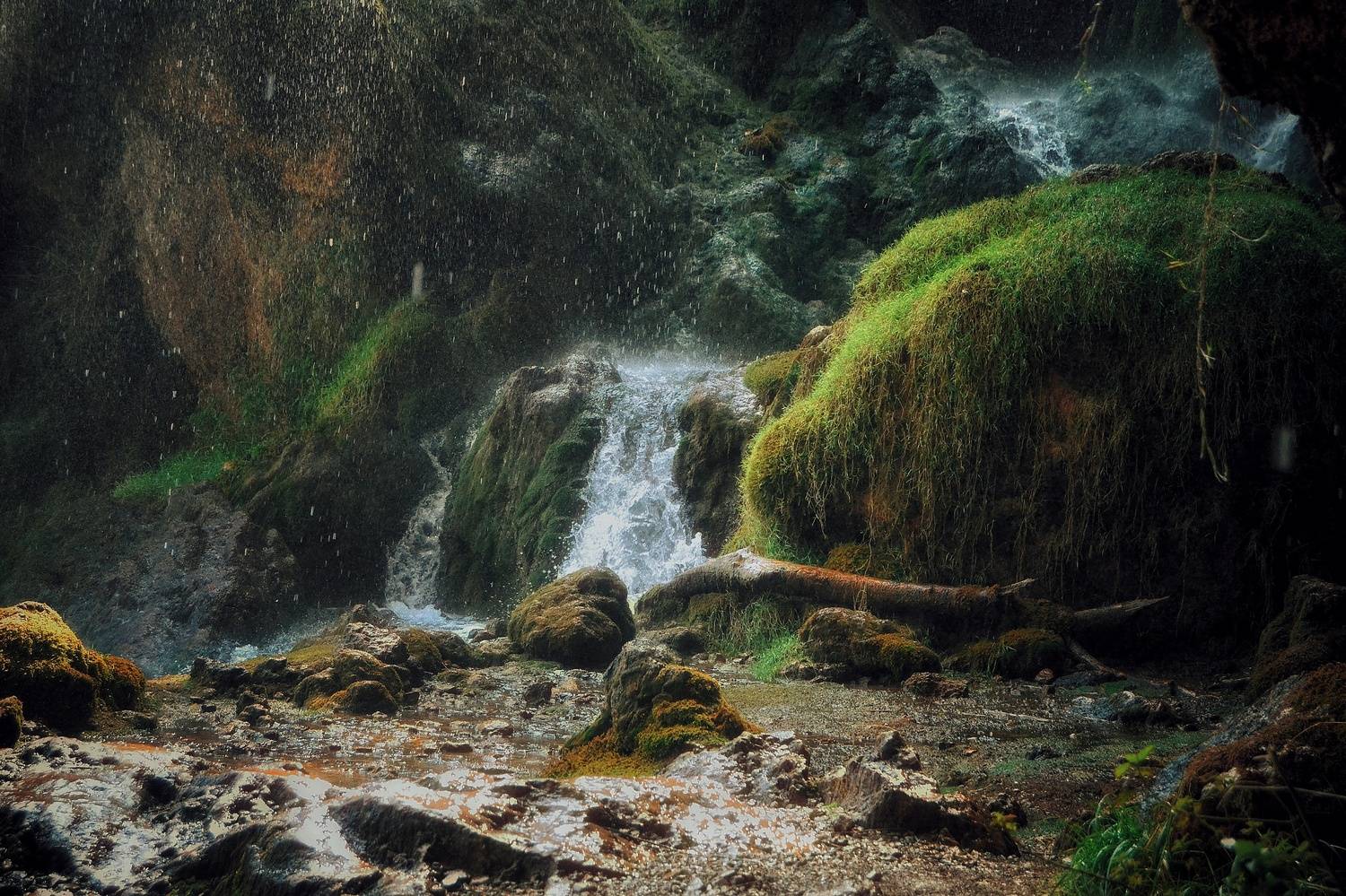 , Юлияна Стоянова