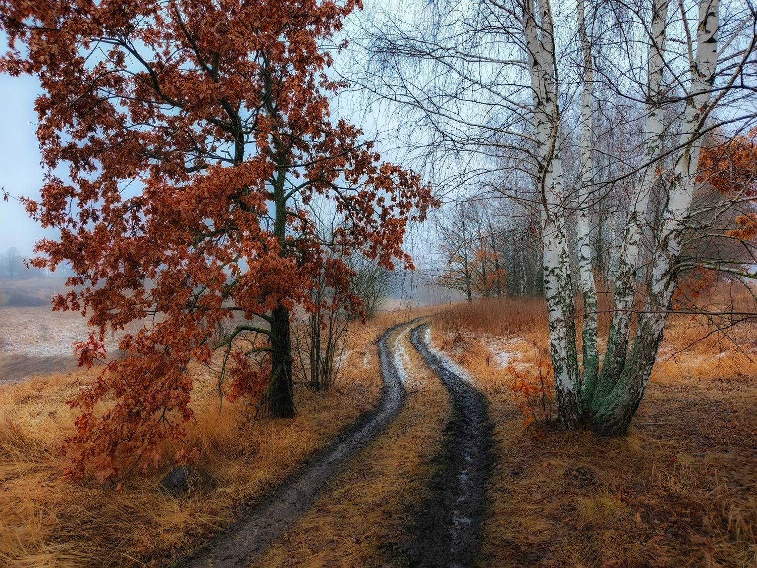 , Светлана Кондрашова