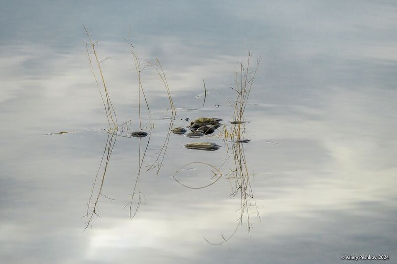 река, курейка, плато путорана, вода, отражения, осень, предзимье, таймыр, заполярье Осенние этюды фото превью