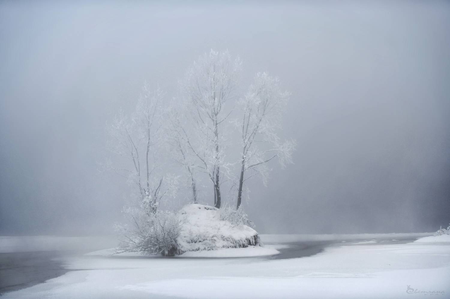 , Крат Светлана