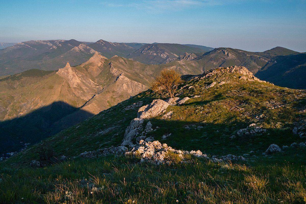 , Олег Логунов