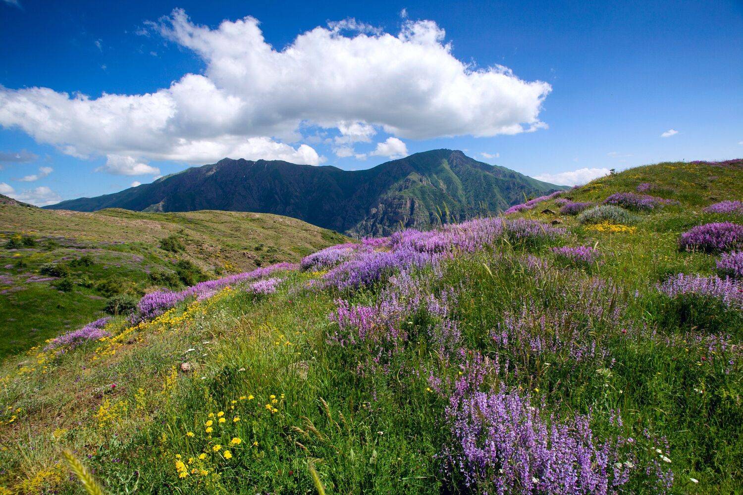 , Сергей Евдокимов