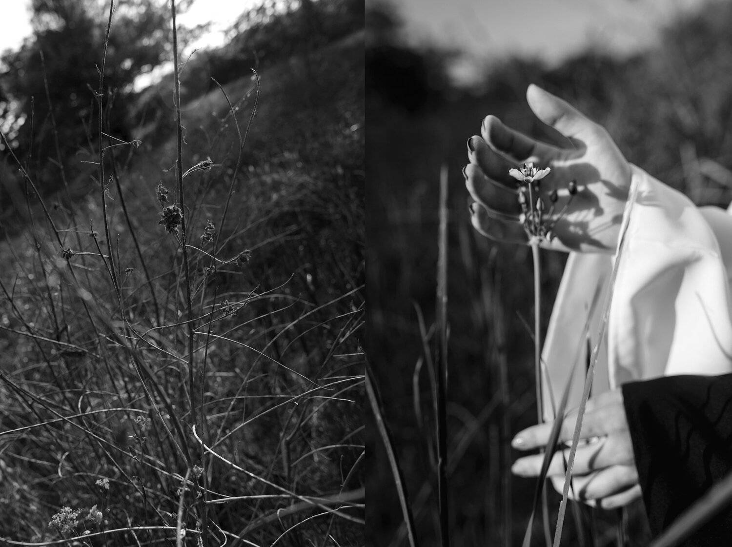 , Иван Лошицкий