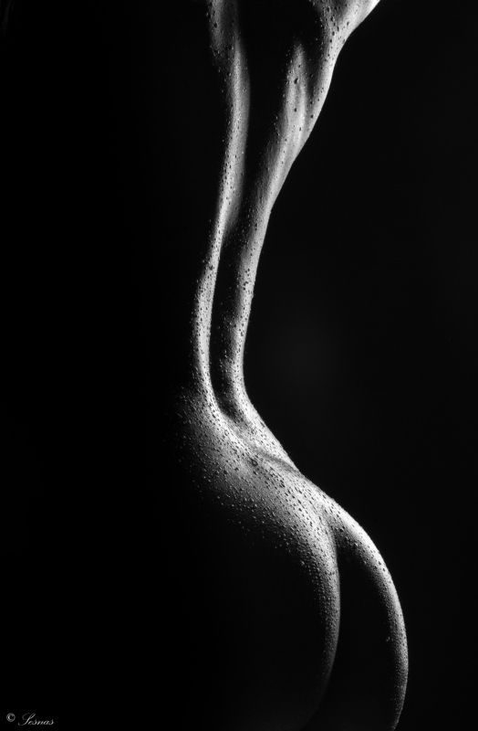 ню, ч/б, блики, модель, студия этюд № 1 фото превью