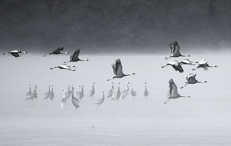 Time of parting фото превью