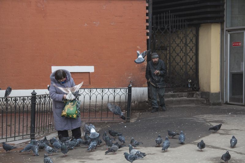 фото превью