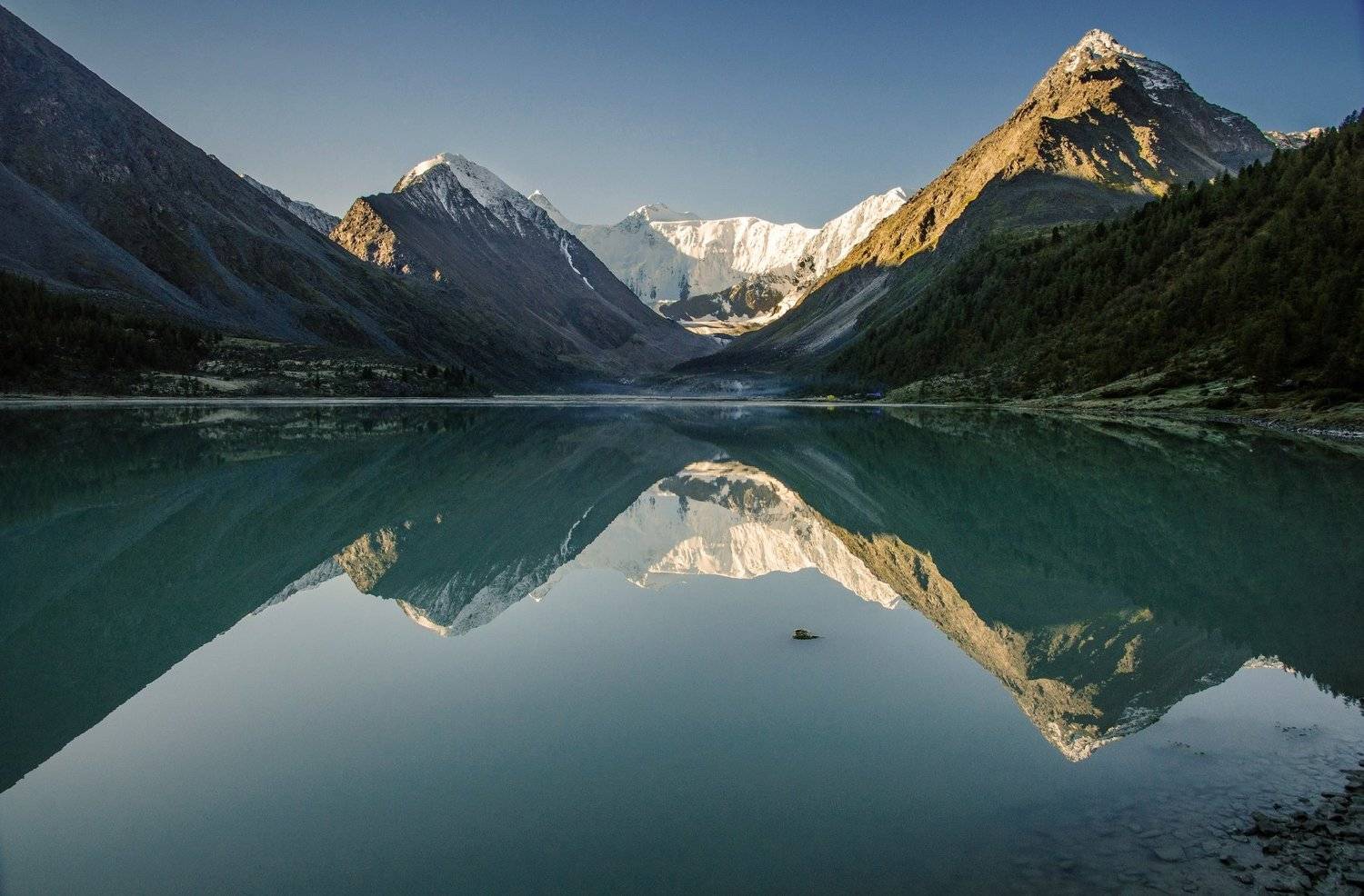 , Алексей Кретов