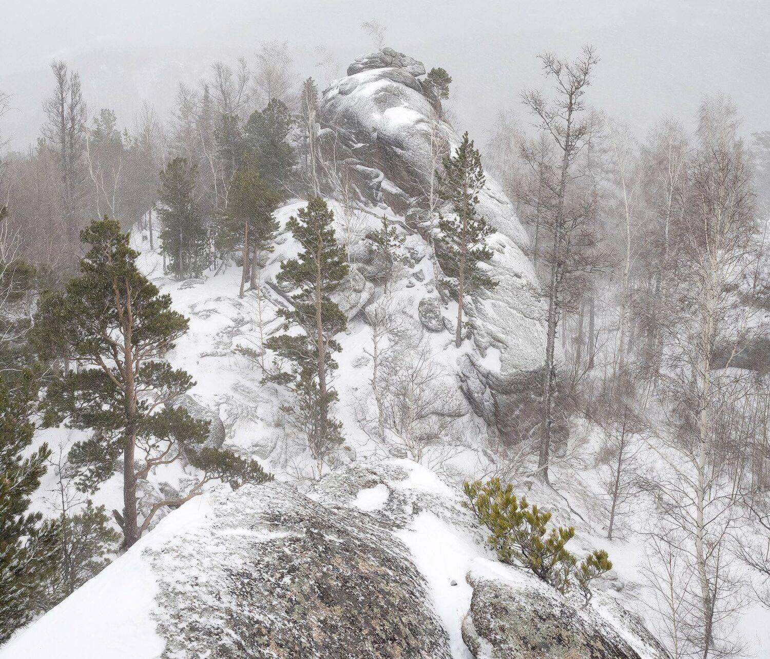 , Лещёнок Александр