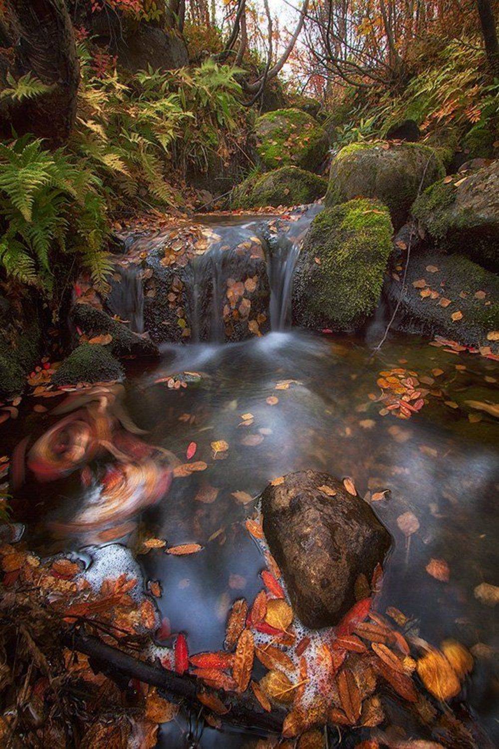 , Любовь Трифонова