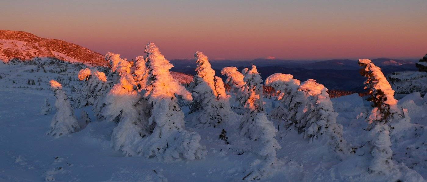 Вечер, Волшебный лес, Горная шория, Закат, Зима, Кедры, Сибирь, Снег, Шерегеш, Валерий Пешков