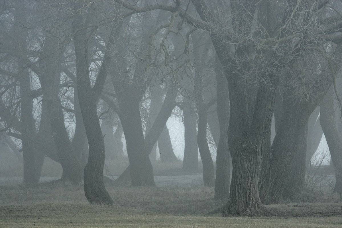 , Валерий Кондратов