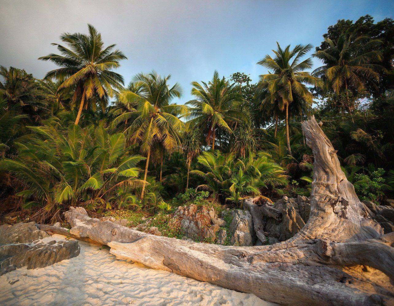Freedombeach, Phuket, Владимир Ляпин