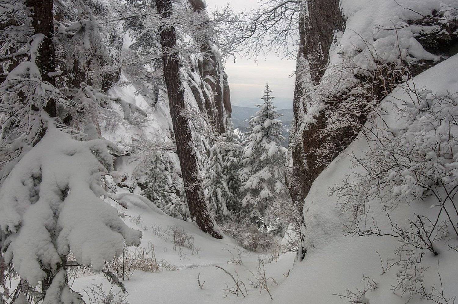 , Марина Фомина