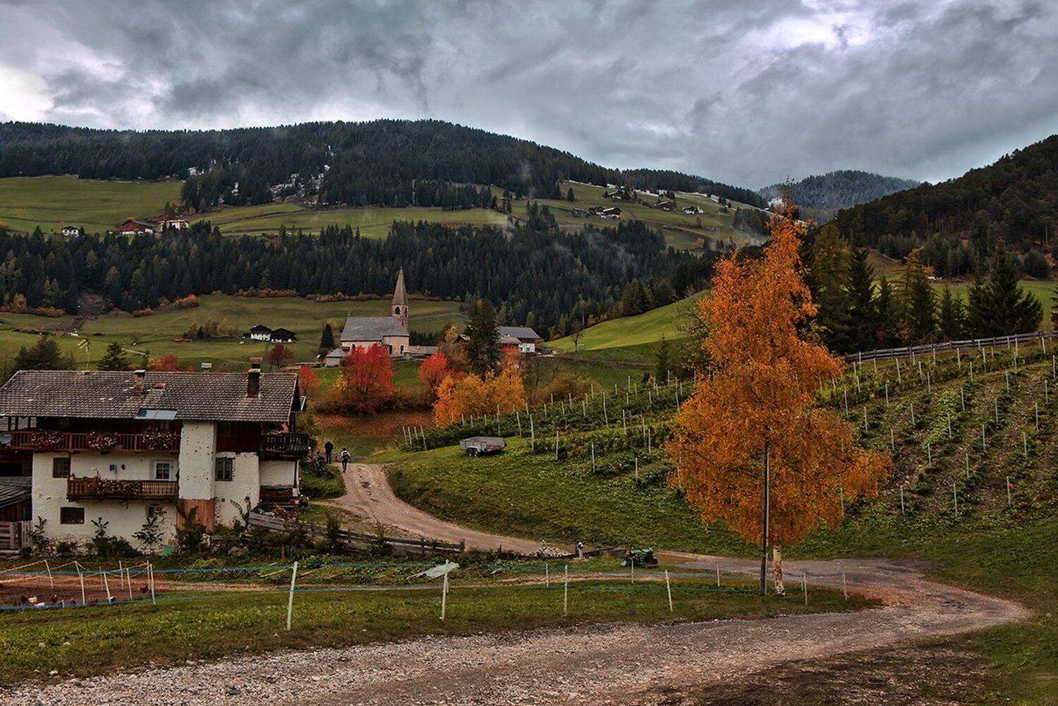 , Игорь Дубровский