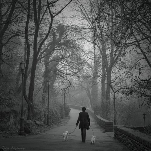 Дама с собачками /The Lady with Dogs/ 