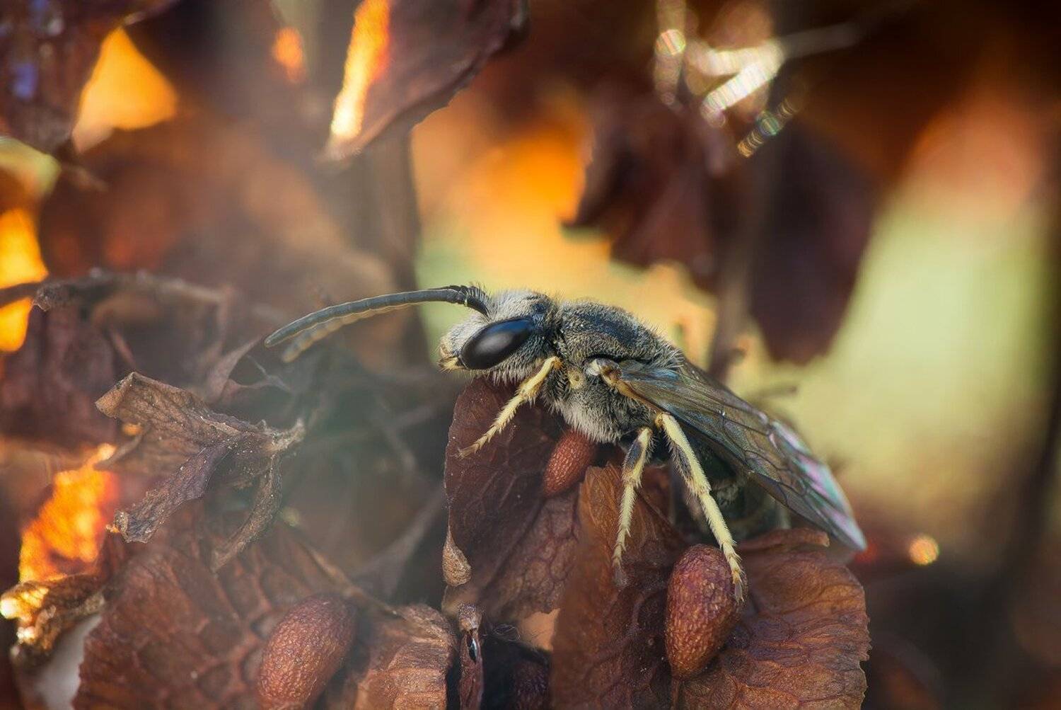 , Кузнецов Дмитрий