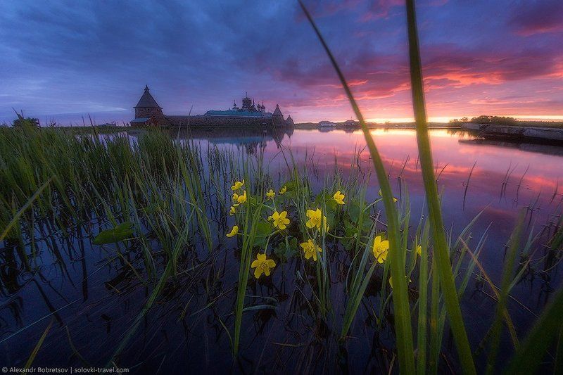Белые ночи фото превью