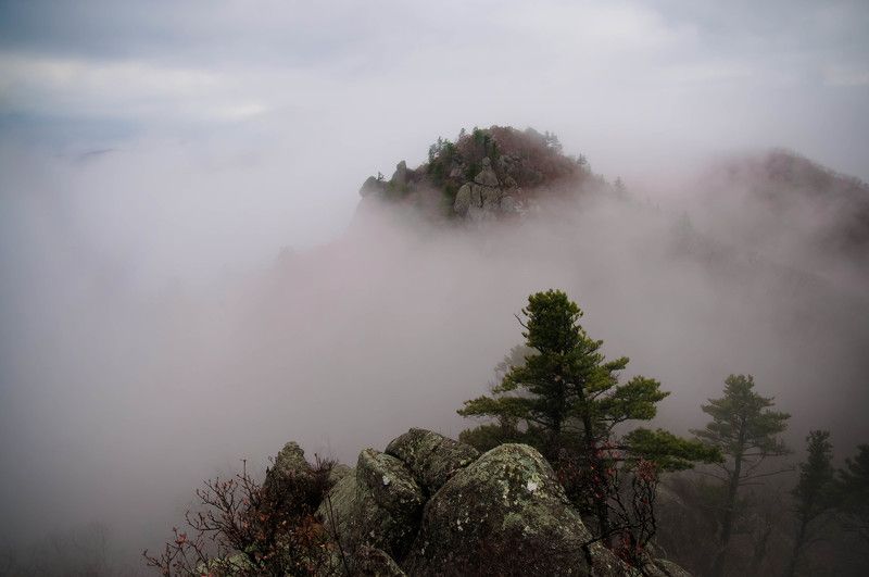 В плену тумана фото превью