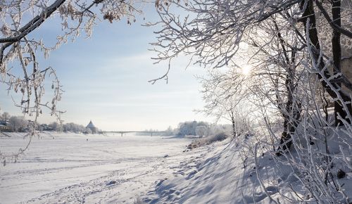 Морозные кружева