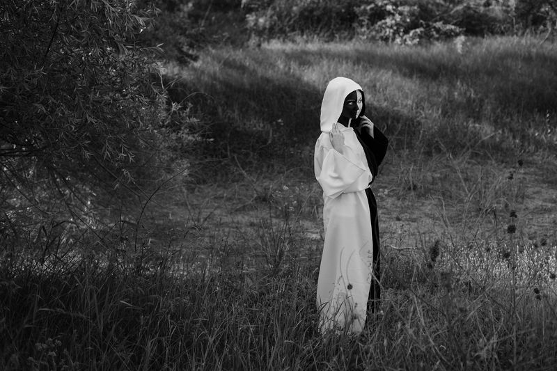 Проект Сущность фото превью