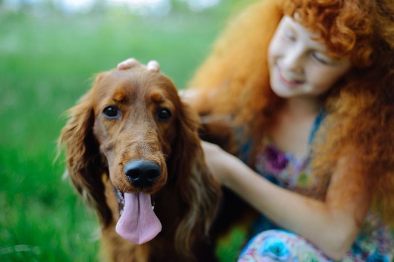 настя природа улица веснушки цветы весна рыжая собака зелень солнце  Настя с собачкой фото превью