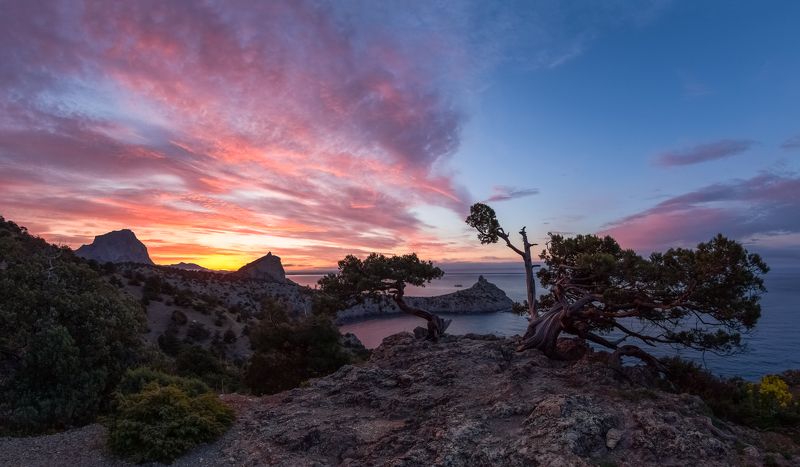 Утренним галсом к солнцу. фото превью