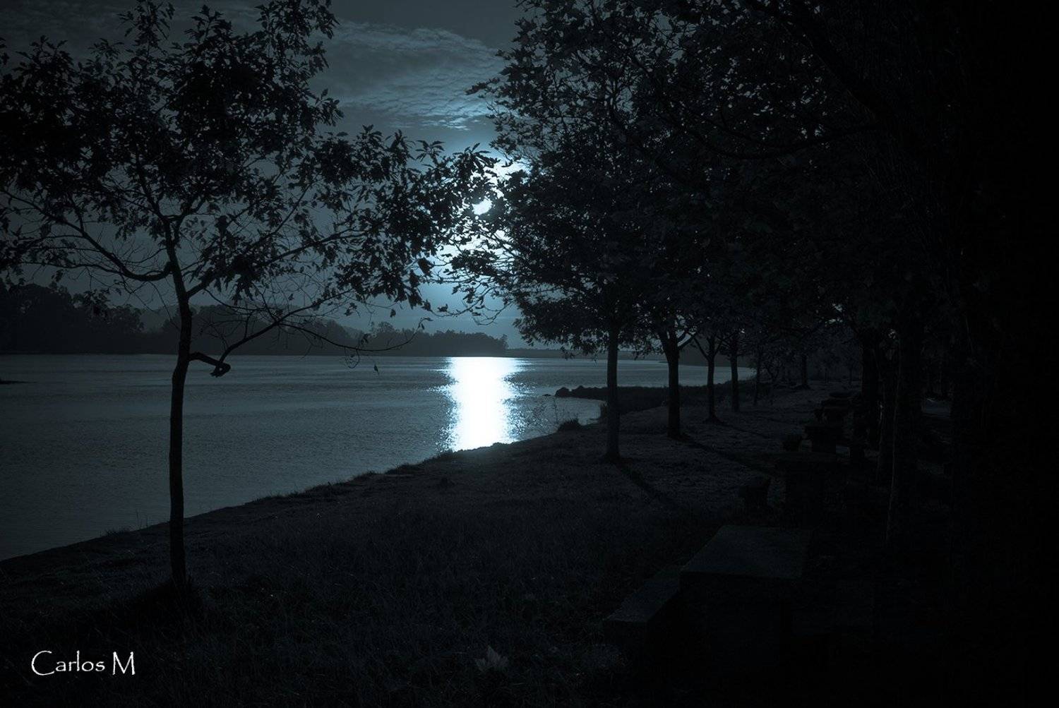 Landscape, Nature,, Carlos Machado