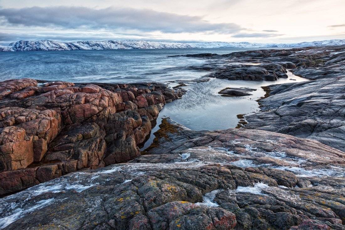 , Щипкова Елена