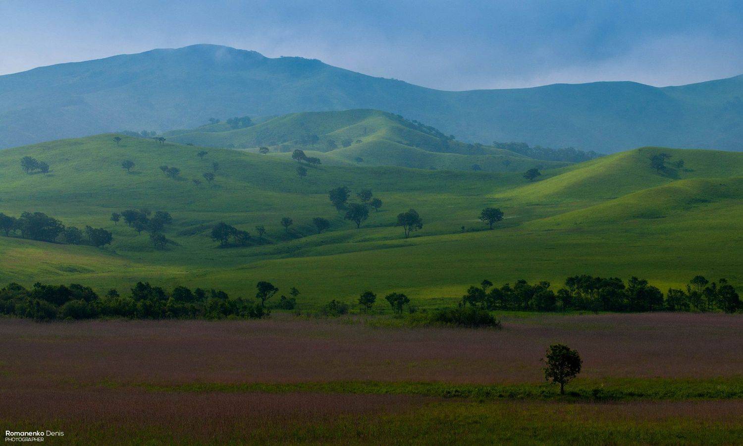 , Романенко Денис