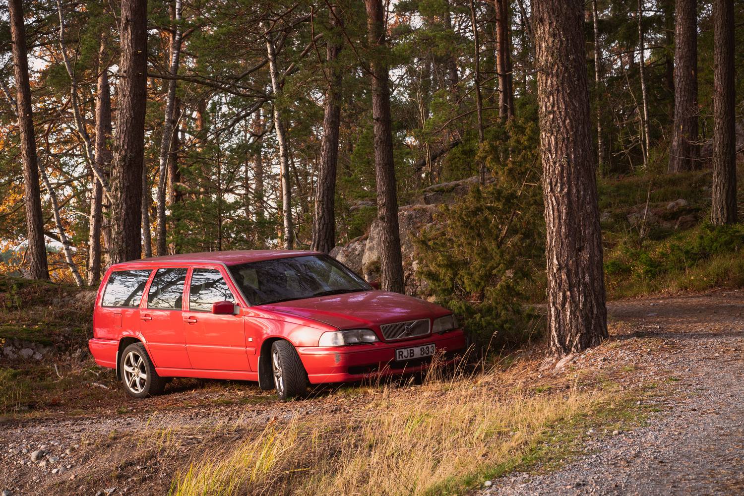 Volvo, Швеция, природа, лес, Soul