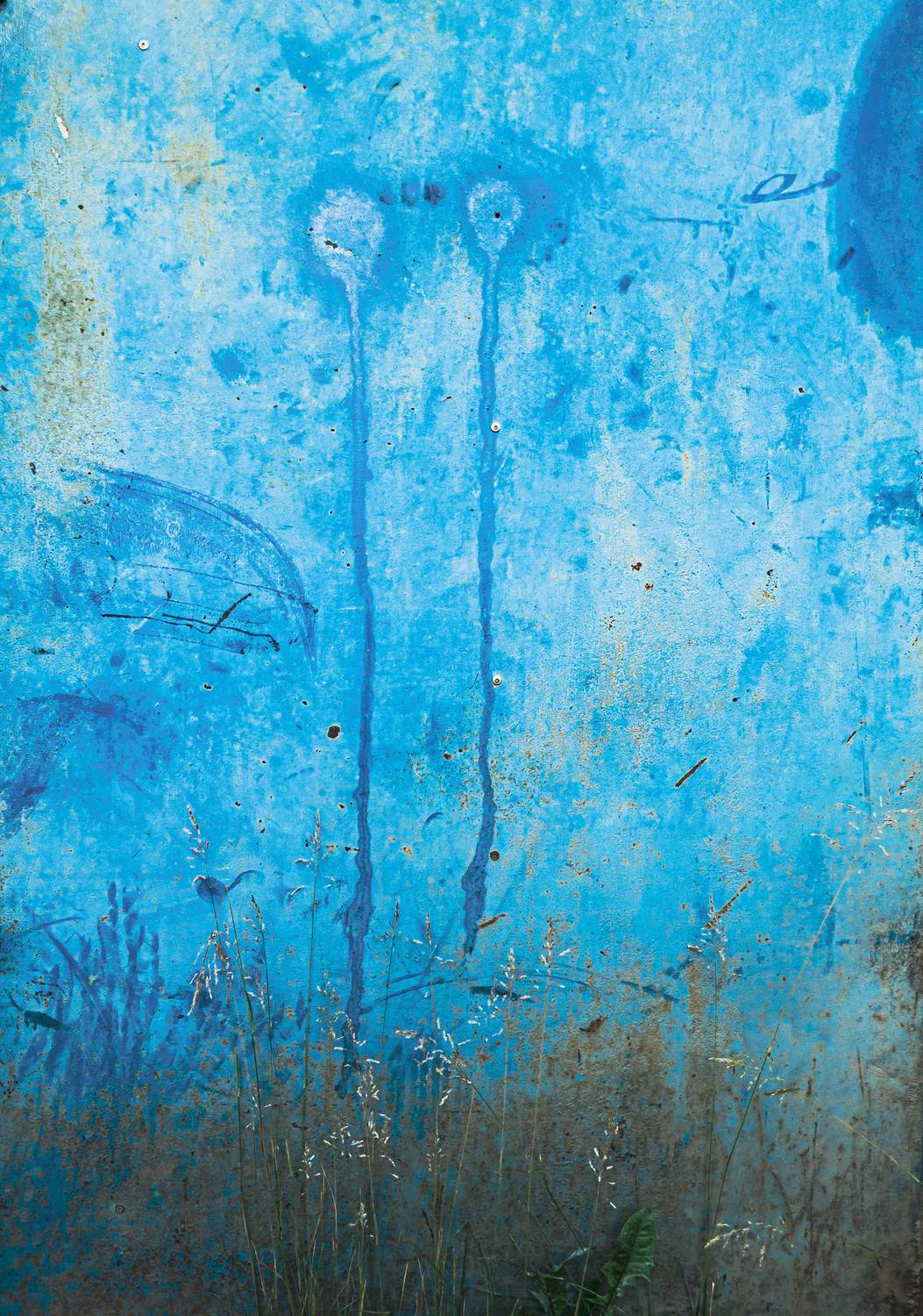 , Лофицкая Лариса