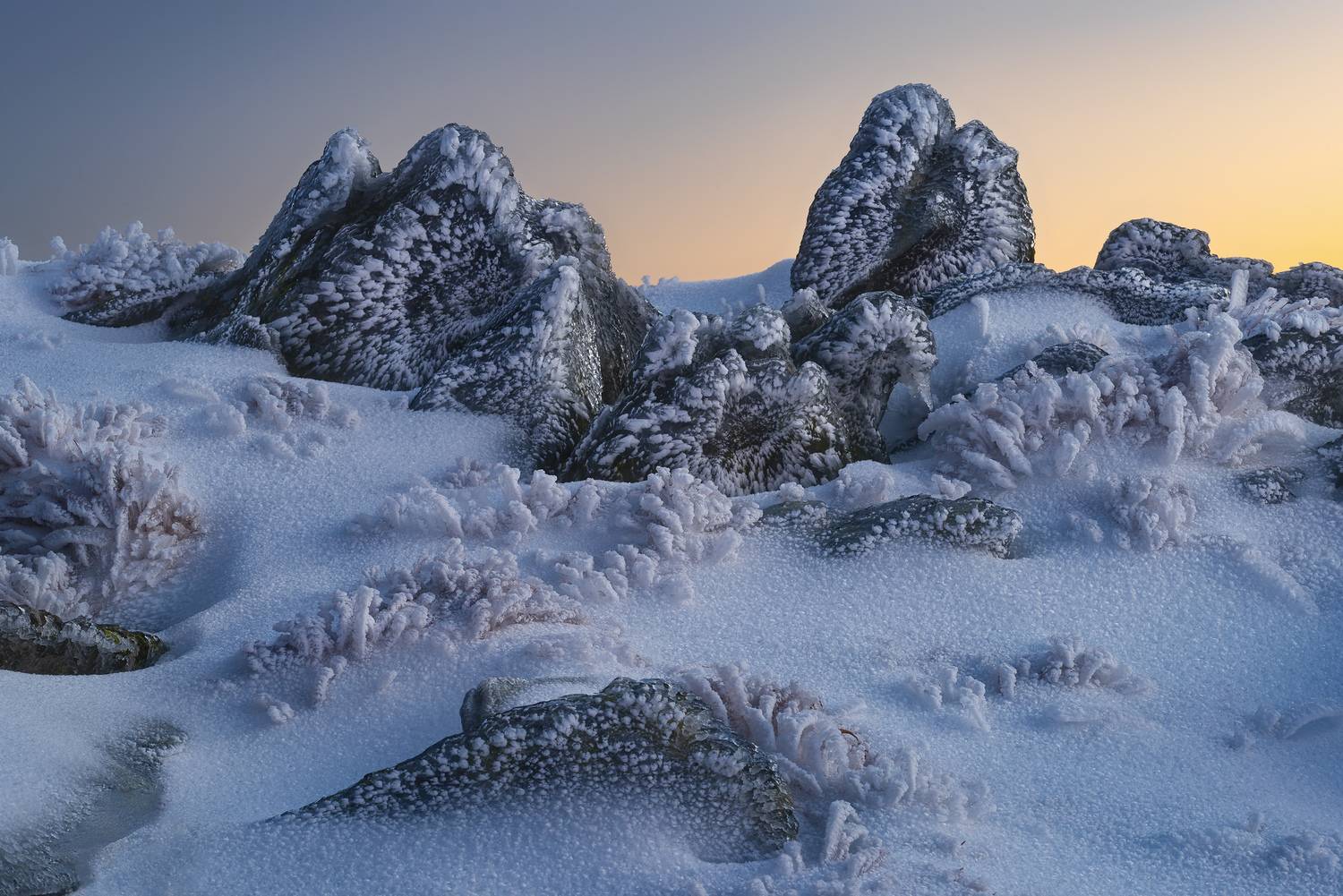 , Szabo Zsolt Andras