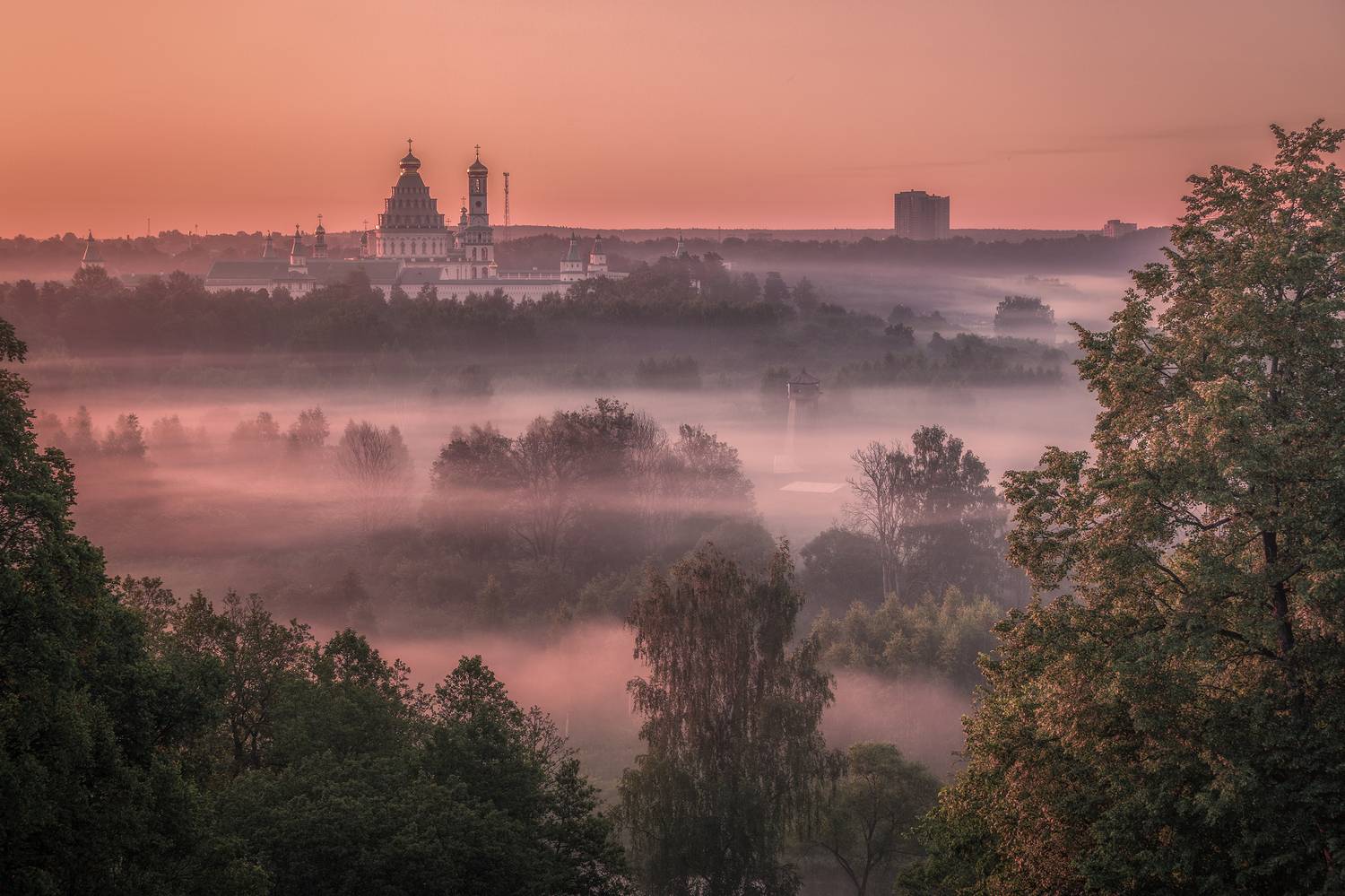 истра, Гусева Елена