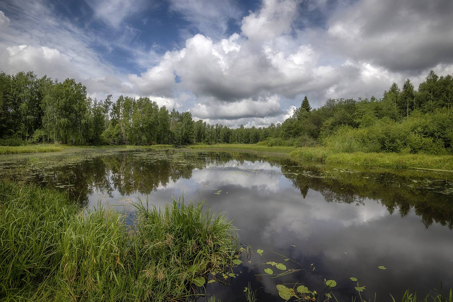 , Сергей Аникин