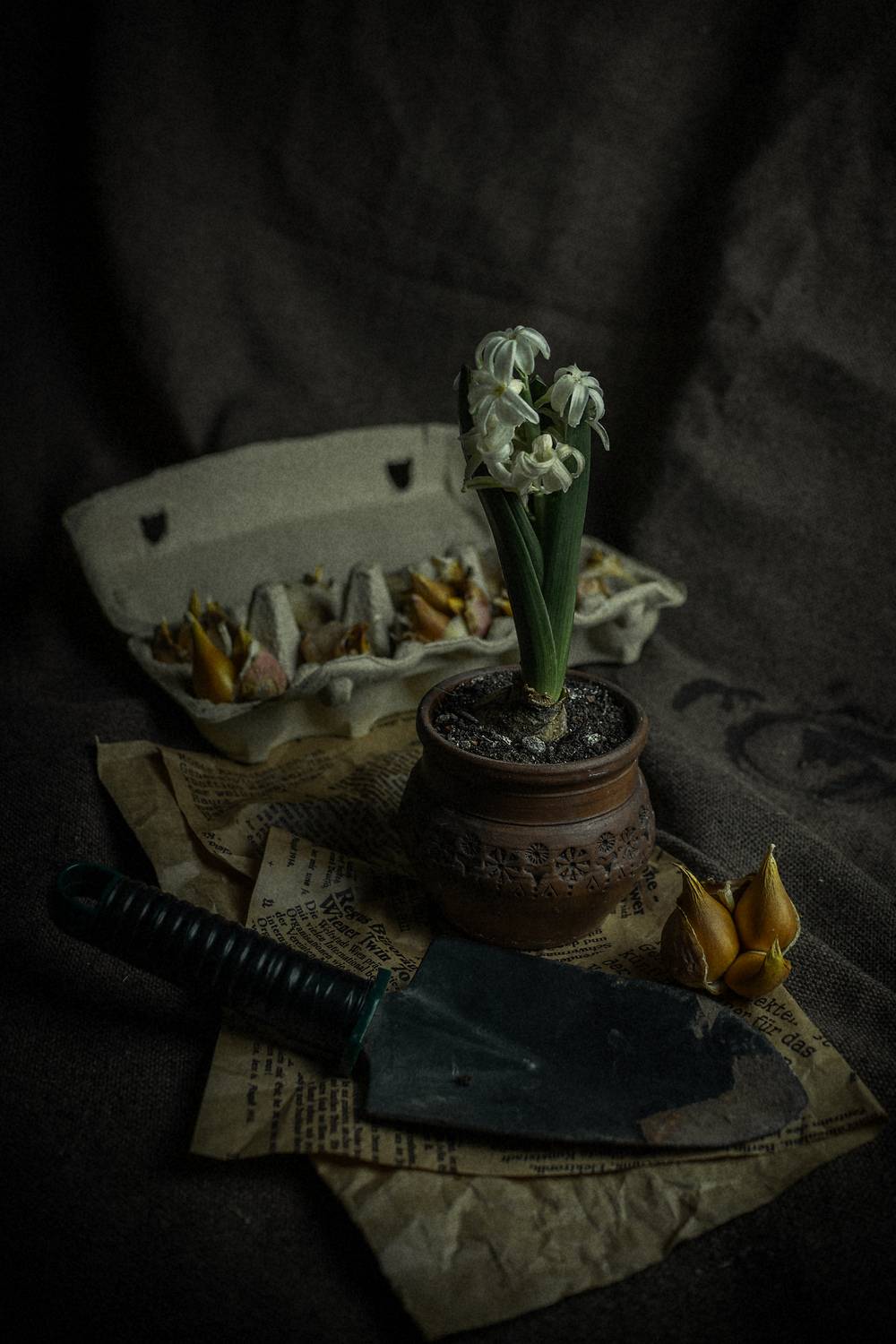 , Романова Инга