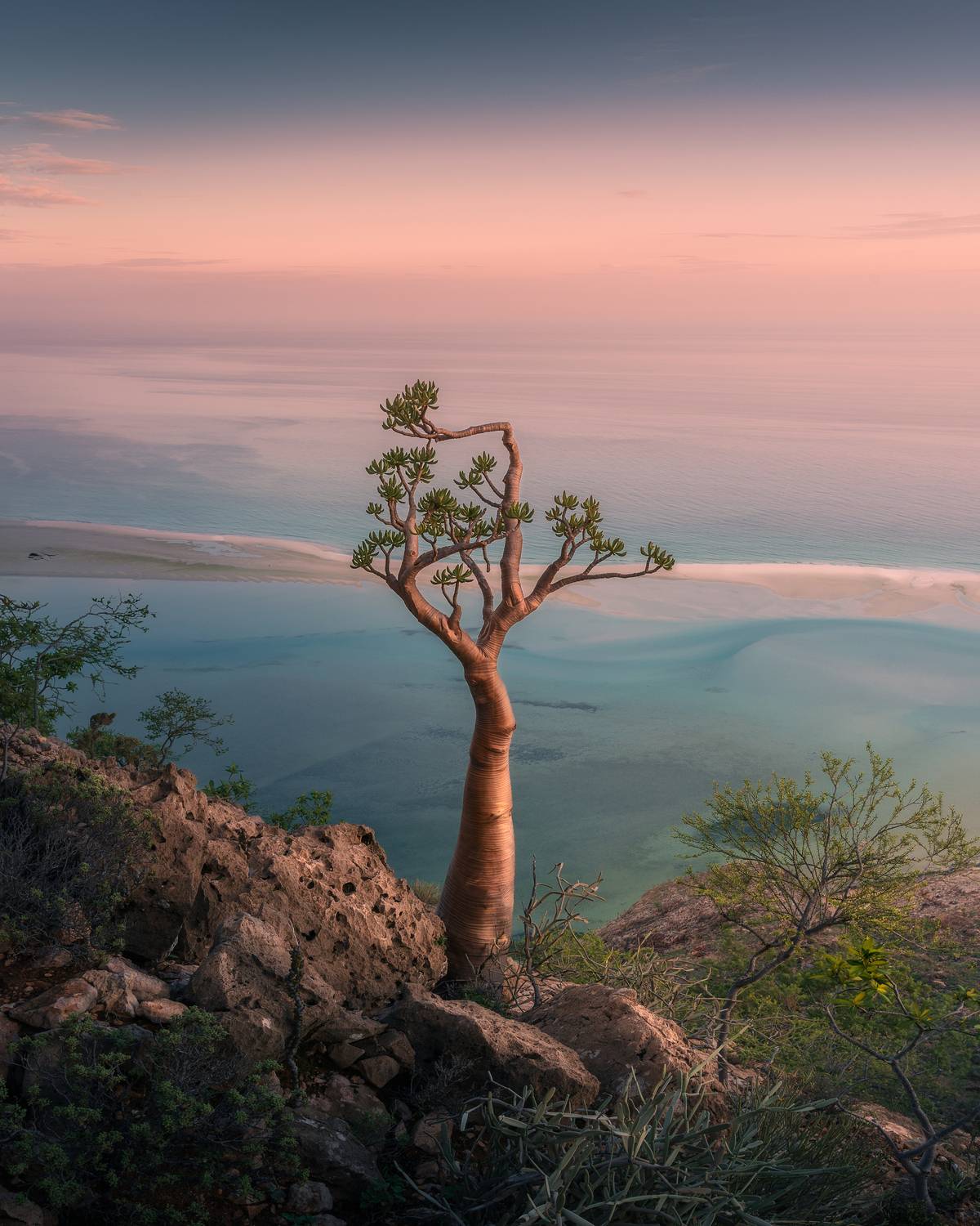 , Вукотић Никола