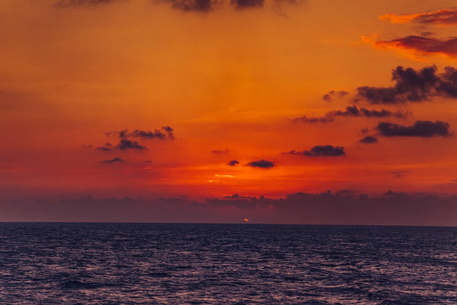 , Трепольский Дмитрий