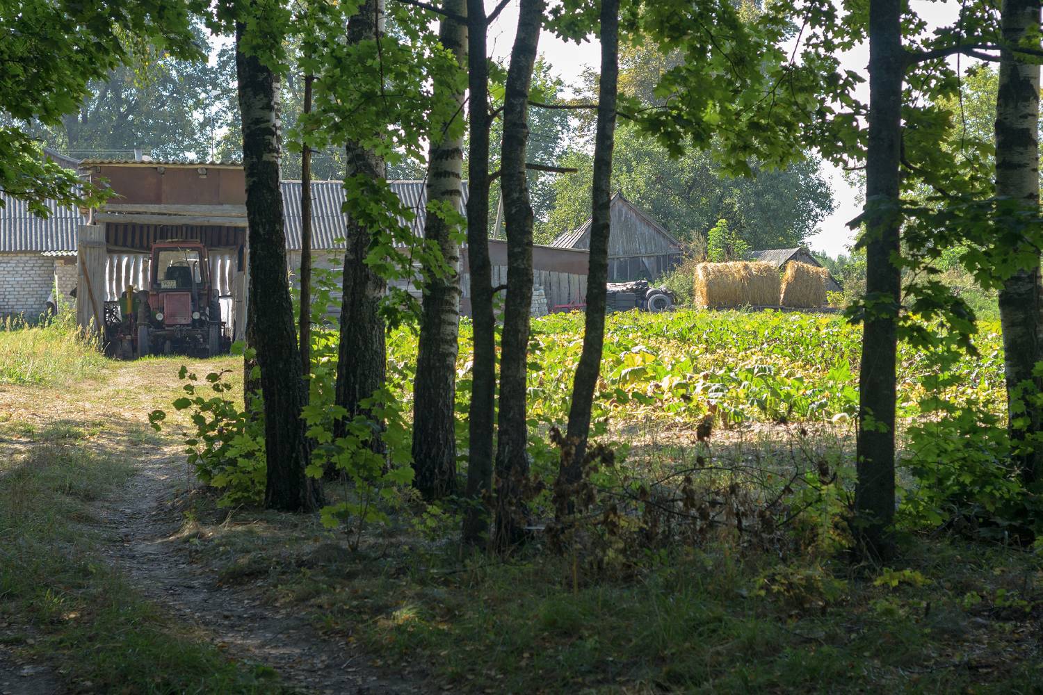 , Лысенко Сергей